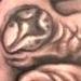 Tattoos - octopus tattoo - 85609